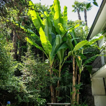 Easy By La Perla Hotel 3*