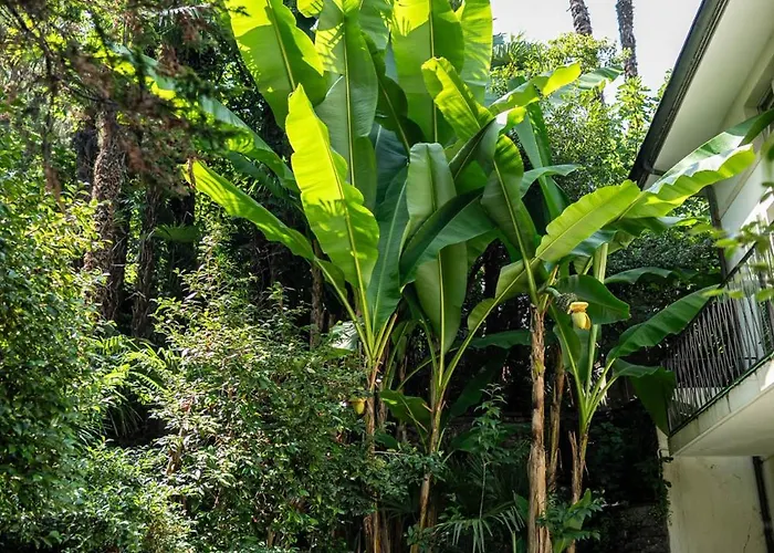 Easy By La Perla Szálloda 3*